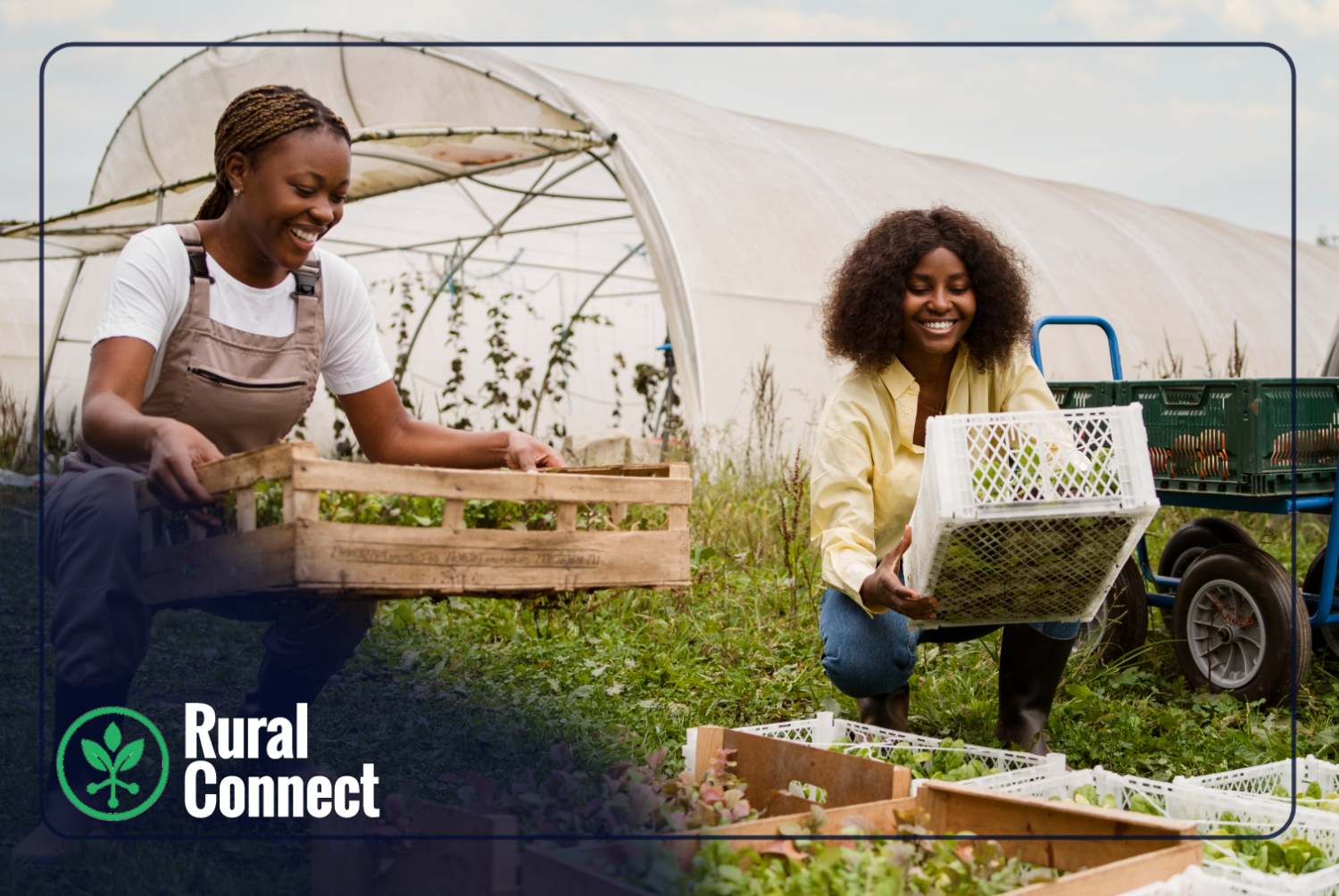 RuralConnect promo